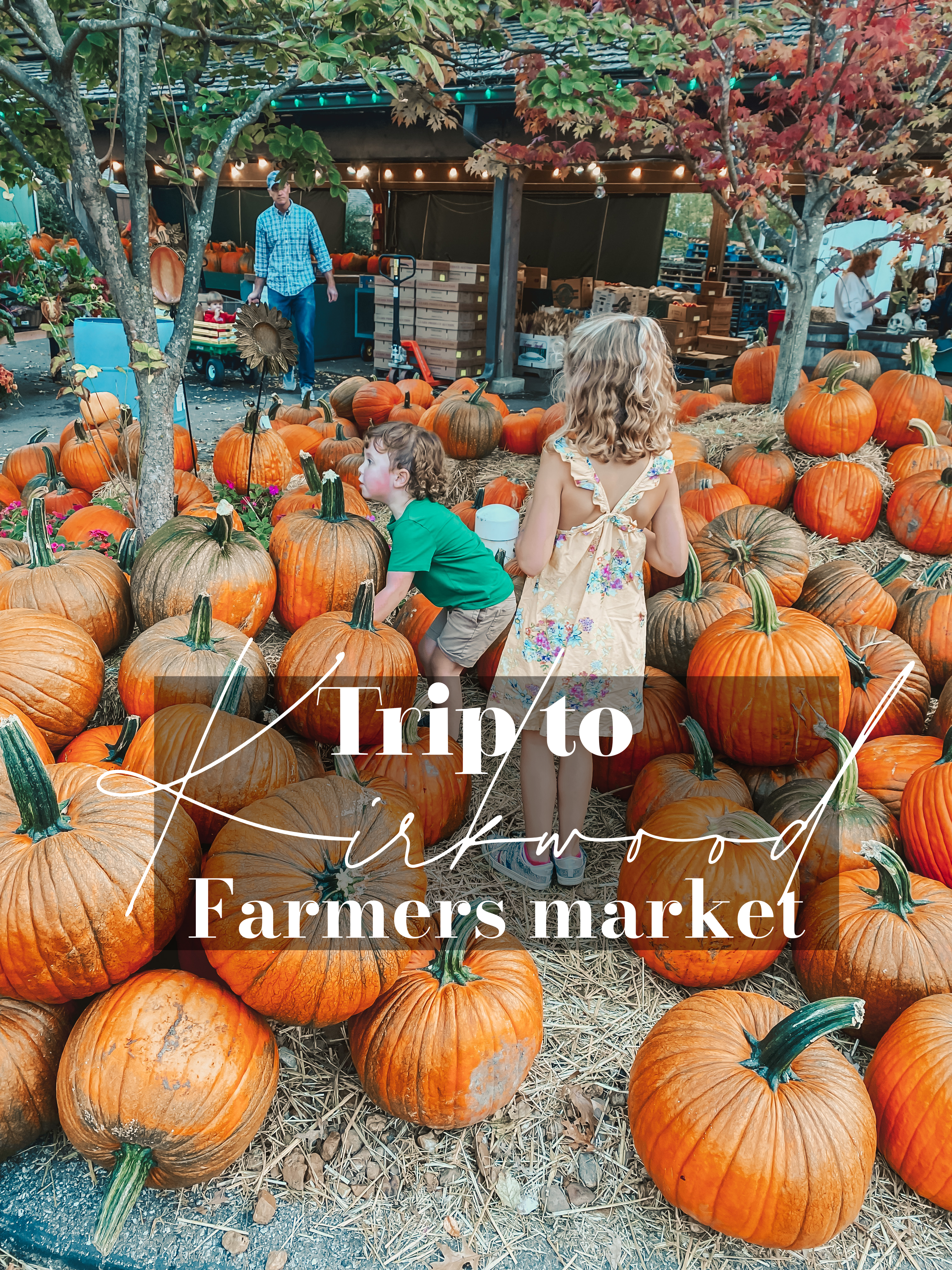 Kirkwood Farmer’s Market