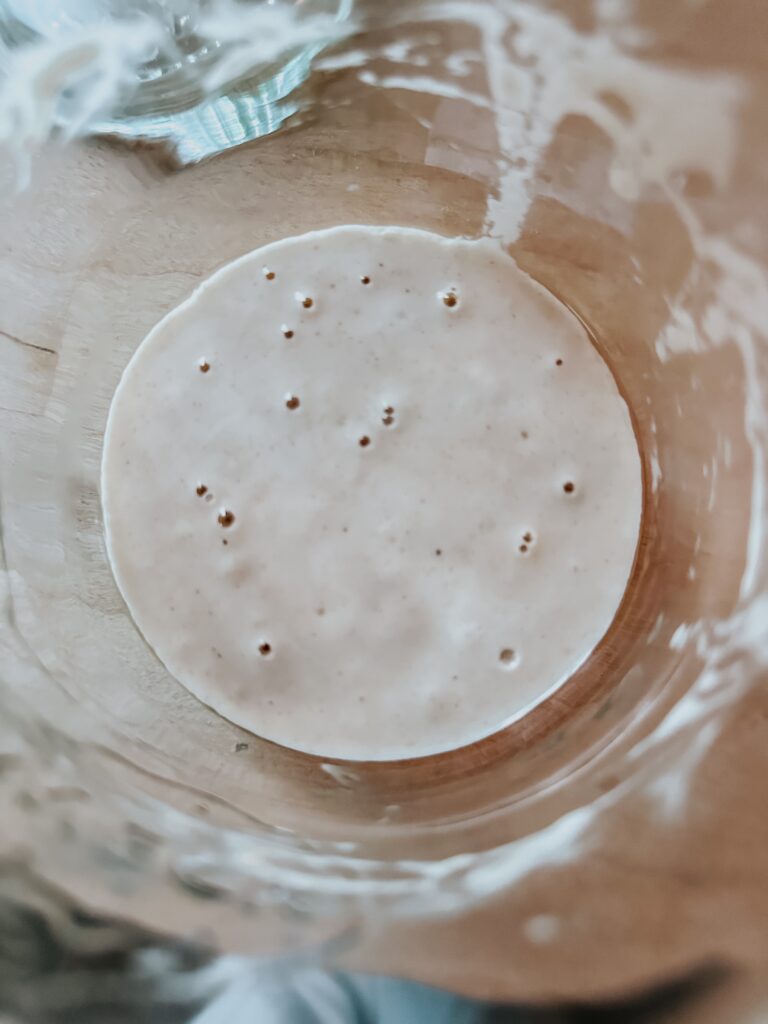 Rehydrating sourdough starter.